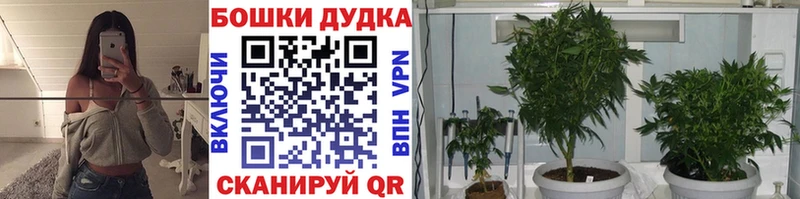 Купить наркотики цена Таштагол COCAIN  АМФЕТАМИН  ГАШИШ  Конопля  Меф мяу мяу  А ПВП 