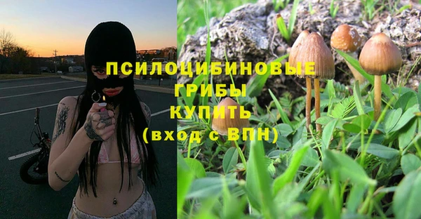 мдпв Медвежьегорск