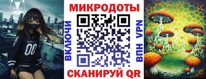 закладки Таштагол Галлюциногенные грибы MAGIC MUSHROOMS